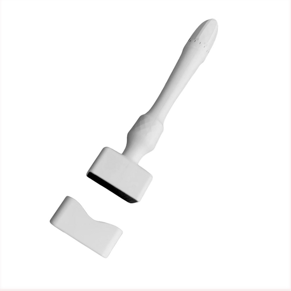Professional Derma Stamp Rolle – Derma Roller 0.25 Bewertung und Preis
